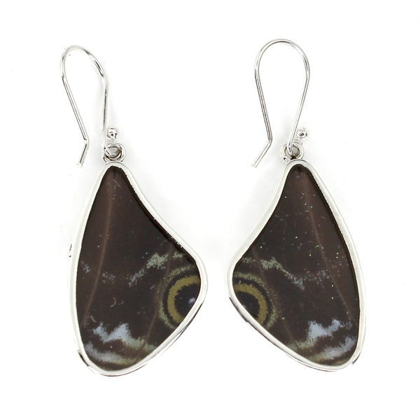 LARGE BUTTERFLY WING MORPHO ACHILES SILVER EARRINGS