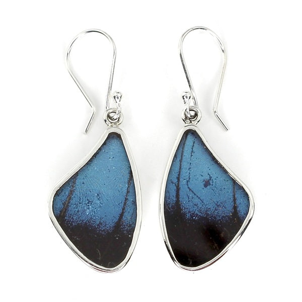 MEDIUM BUTTERFLY WING MORPHO ACHILES SILVER EARRINGS