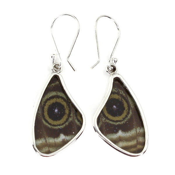 MEDIUM BUTTERFLY WING MORPHO ACHILES SILVER EARRINGS
