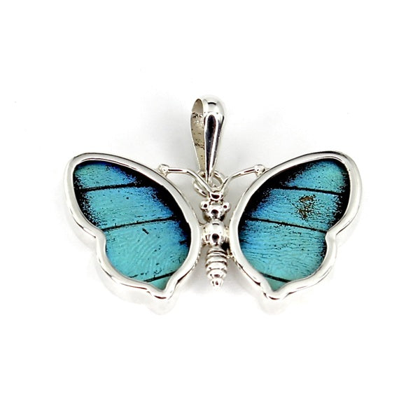 X-SMALL PREPONA BUTTERFLY SILVER PENDANT - ROUNDED WING DESIGN