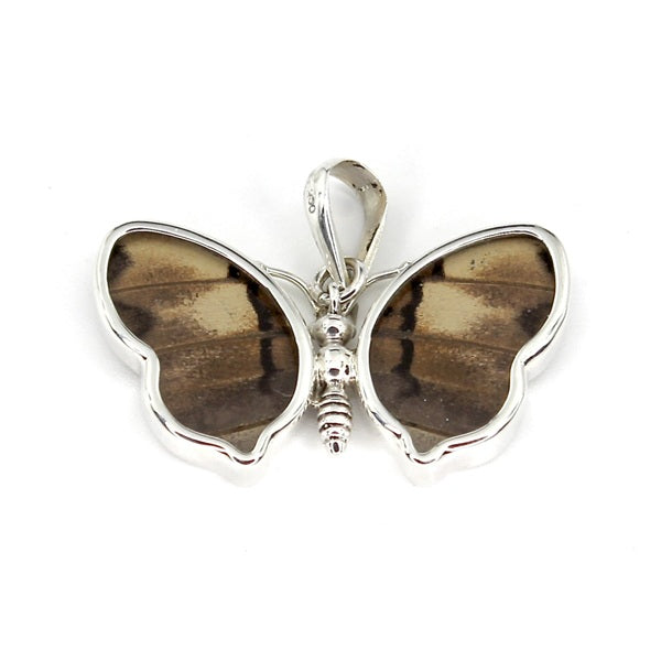 X-SMALL PREPONA BUTTERFLY SILVER PENDANT - ROUNDED WING DESIGN
