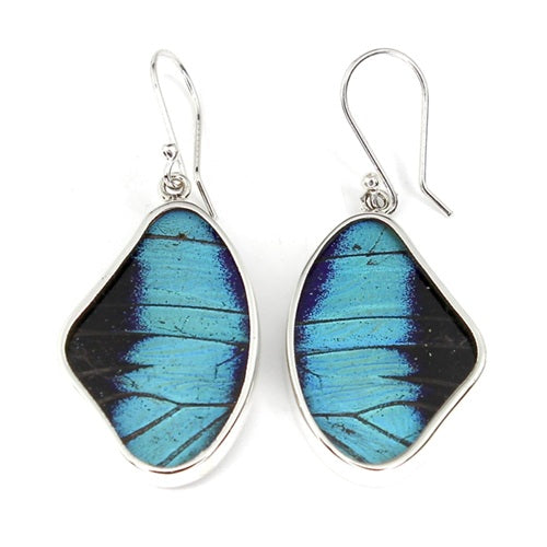 MEDIUM PREPONA BUTTERFLY WING SILVER EARRINGS