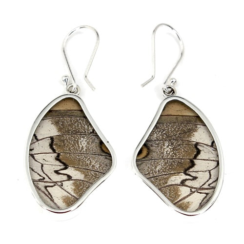 MEDIUM PREPONA BUTTERFLY WING SILVER EARRINGS