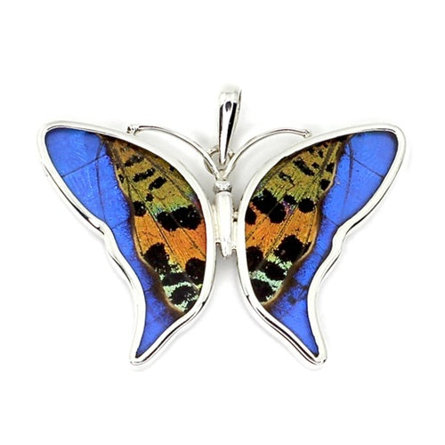 MEDIUM BUTTERFLY MORPHO & URANIA RIPHEUS "A" SILVER PENDANT