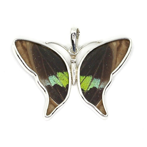 MEDIUM BUTTERFLY MORPHO & URANIA RIPHEUS "A" SILVER PENDANT