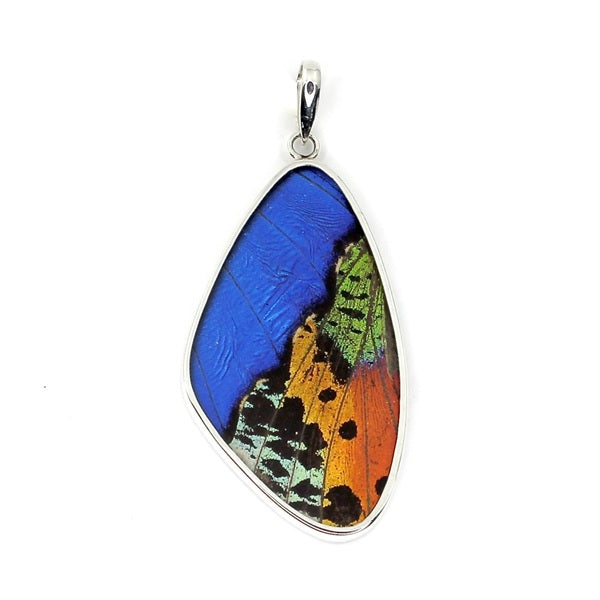 XL BUTTERFLY WING MORPHO & URANIA RIPHEUS "A" SILVER PENDANT