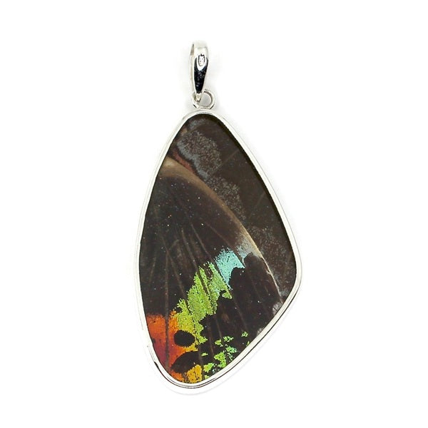 XL BUTTERFLY WING MORPHO & URANIA RIPHEUS "A" SILVER PENDANT