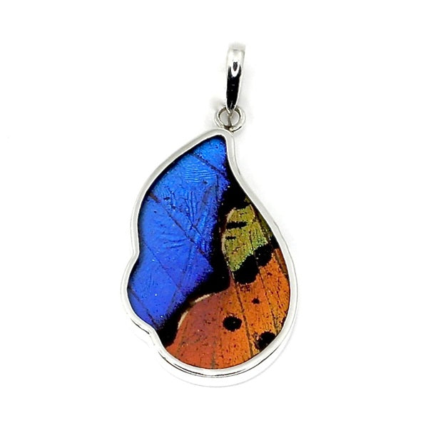 MEDIUM BUTTERFLY WING MORPHO & URANIA RIPHEUS "A" WAVED SILVER PENDANT