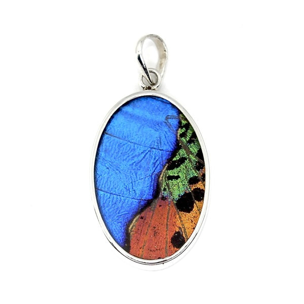 MEDIUM OVAL BUTTERFLY WING MORPHO & URANIA RIPHEUS "A" SILVER PENDANT