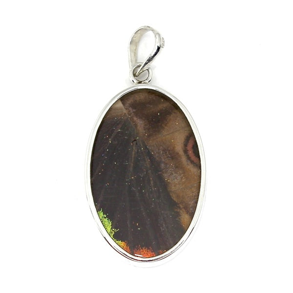 MEDIUM OVAL BUTTERFLY WING MORPHO & URANIA RIPHEUS "A" SILVER PENDANT