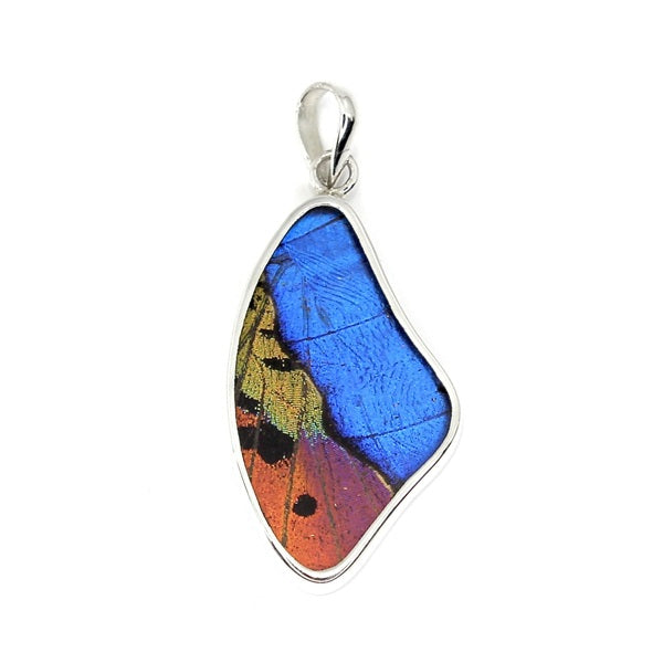 MEDIUM BUTTERFLY WING MORPHO & URANIA RIPHEUS "A" SILVER PENDANT