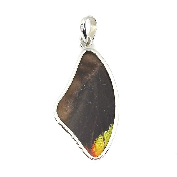 MEDIUM BUTTERFLY WING MORPHO & URANIA RIPHEUS "A" SILVER PENDANT