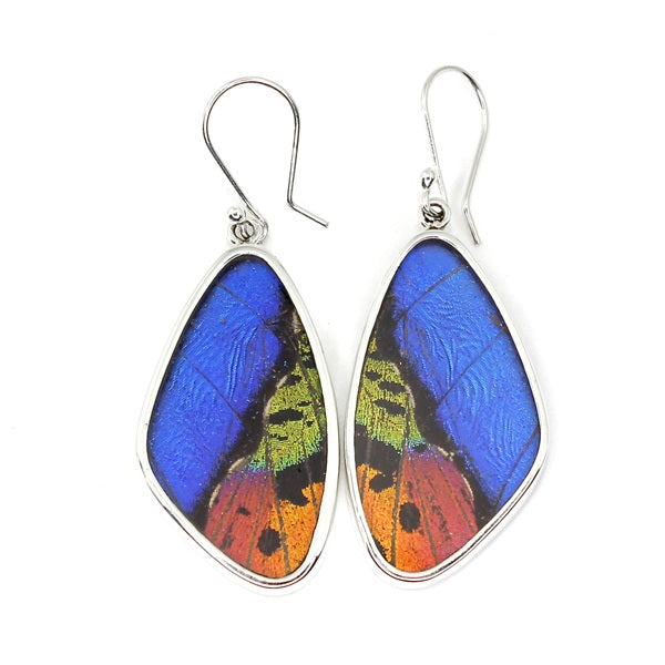 X-LARGE BUTTERFLY WING MORPHO & URANIA RIPHEUS "A" SILVER EARRINGS