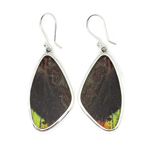 X-LARGE BUTTERFLY WING MORPHO & URANIA RIPHEUS "A" SILVER EARRINGS