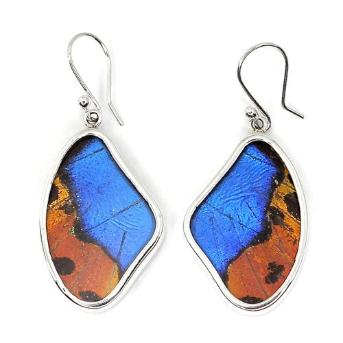 MEDIUM BUTTERFLY WING MORPHO & URANIA RIPHEUS "A" SILVER EARRINGS