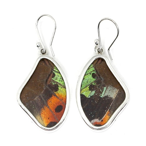 MEDIUM BUTTERFLY WING MORPHO & URANIA RIPHEUS "A" SILVER EARRINGS