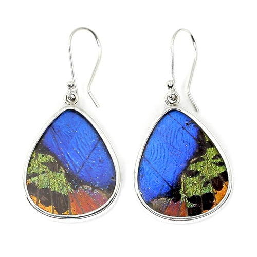 LARGE DITA BUTTERFLY WING TEAR DROP MORPHO & URANIA RIPHEUS "A" SILVER EARRINGS