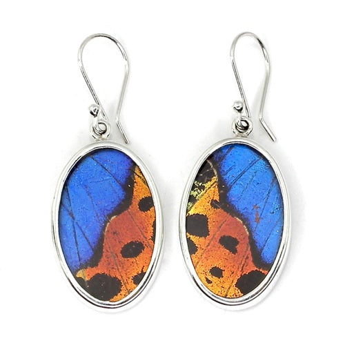 MEDIUM OVAL BUTTERFLY WING MORPHO & URANIA RIPHEUS "A" SILVER EARRINGS
