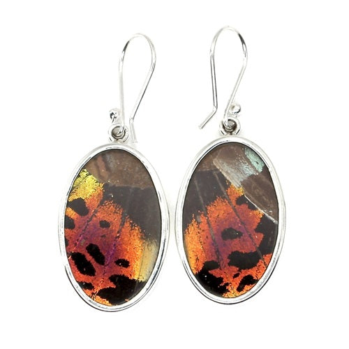 MEDIUM OVAL BUTTERFLY WING MORPHO & URANIA RIPHEUS "A" SILVER EARRINGS
