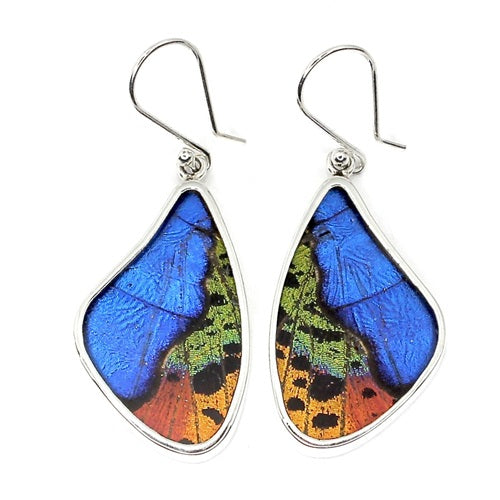 LARGE BUTTERFLY SHAPED WING MORPHO & URANIA RIPHEUS "A" SILVER EARRINGS