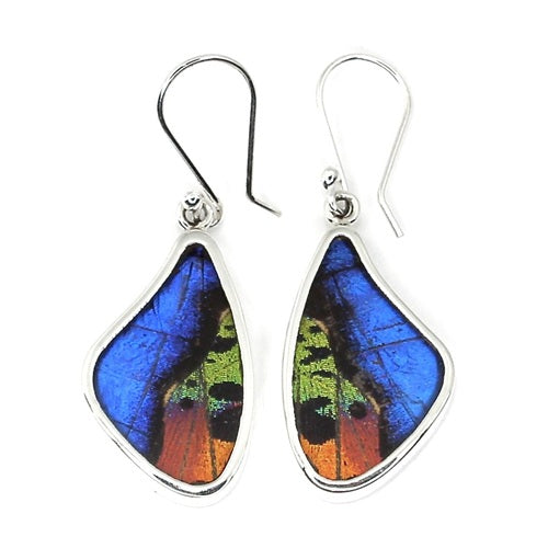 MEDIUM BUTTERFLY SHAPED WING MORPHO & URANIA RIPHEUS "A" SILVER EARRINGS