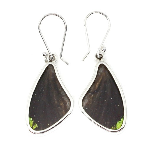 MEDIUM BUTTERFLY SHAPED WING MORPHO & URANIA RIPHEUS "A" SILVER EARRINGS