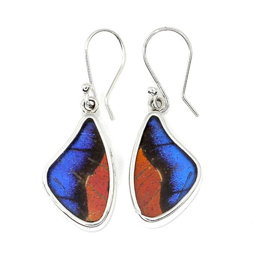 SMALL BUTTERFLY SHAPED WING MORPHO & URANIA RIPHEUS "A" SILVER EARRINGS