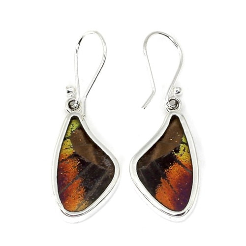 SMALL BUTTERFLY SHAPED WING MORPHO & URANIA RIPHEUS "A" SILVER EARRINGS