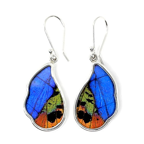 MEDIUM WAVED BUTTERFLY SHAPED WING MORPHO & URANIA RIPHEUS "A" SILVER EARRINGS