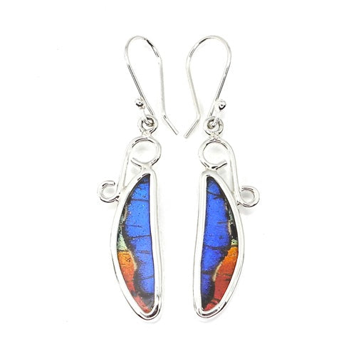 SMALL DRAGONFLY WING MORPHO & URANIA RIPHEUS "A" SILVER EARRINGS