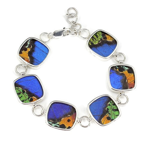BUTTERFLY WING MORPHO & URANIA RIPHEUS "A" SILVER BRACELET