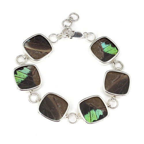 BUTTERFLY WING MORPHO & URANIA RIPHEUS "A" SILVER BRACELET