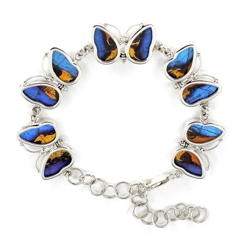 5 X BUTTERFLY SHAPED WING MORPHO & URANIA RIPHEUS "A" SILVER BRACELET