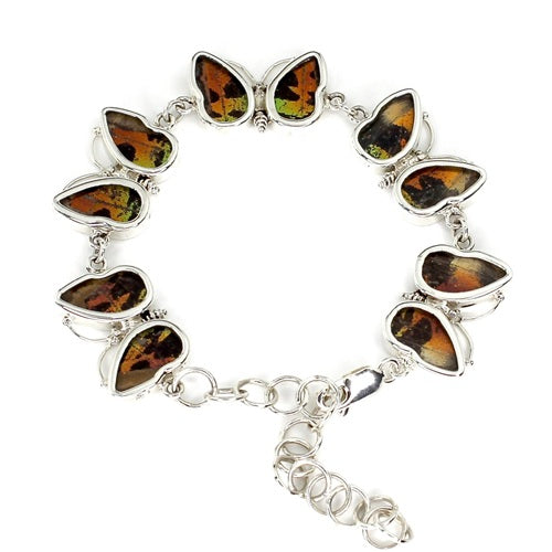 5 X BUTTERFLY SHAPED WING MORPHO & URANIA RIPHEUS "A" SILVER BRACELET