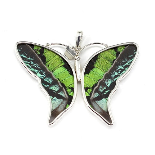 LARGE BUTTERFLY SHAPED RIPHEUS / RIPHEUS SIVER PENDANT