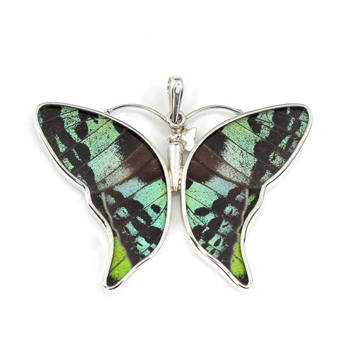 LARGE BUTTERFLY SHAPED RIPHEUS / RIPHEUS SIVER PENDANT