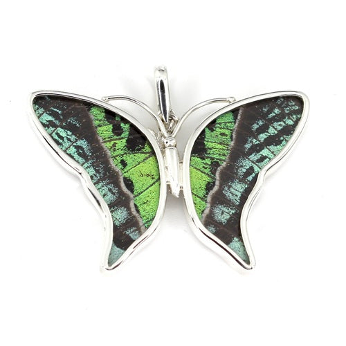MEDIUM BUTTERFLY SHAPED RIPHEUS / RIPHEUS SIVER PENDANT