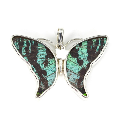 MEDIUM BUTTERFLY SHAPED RIPHEUS / RIPHEUS SIVER PENDANT