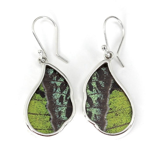 MEDIUM WAVED BUTTERFLY WING RIPHEUS / RIPHEUS SILVER EARRINGS