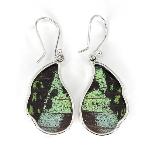 MEDIUM WAVED BUTTERFLY WING RIPHEUS / RIPHEUS SILVER EARRINGS