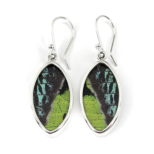 SMALL LEAF BUTTERFLY WING RIPHEUS / RIPHEUS SILVER EARRINGS