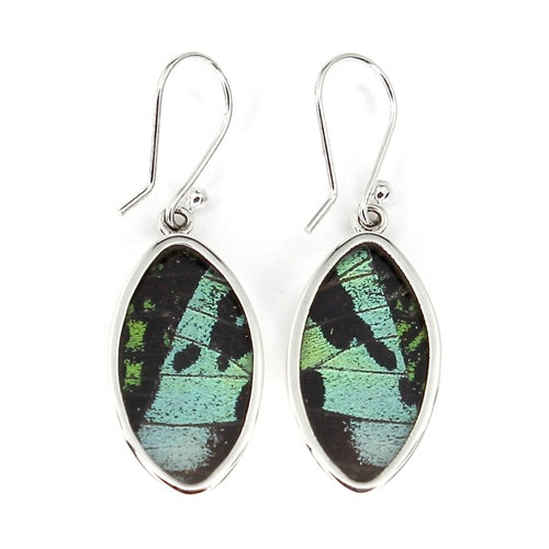 SMALL LEAF BUTTERFLY WING RIPHEUS / RIPHEUS SILVER EARRINGS