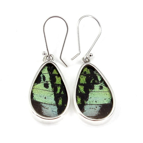SMALL TEAR DROP BUTTERFLY WING RIPHEUS / RIPHEUS SILVER EARRINGS