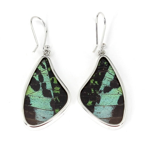 LARGE BUTTERFLY WING RIPHEUS / RIPHEUS SILVER EARRINGS