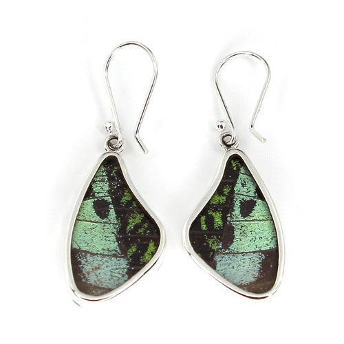 MEDIUM BUTTERFLY WING RIPHEUS / RIPHEUS SILVER EARRINGS