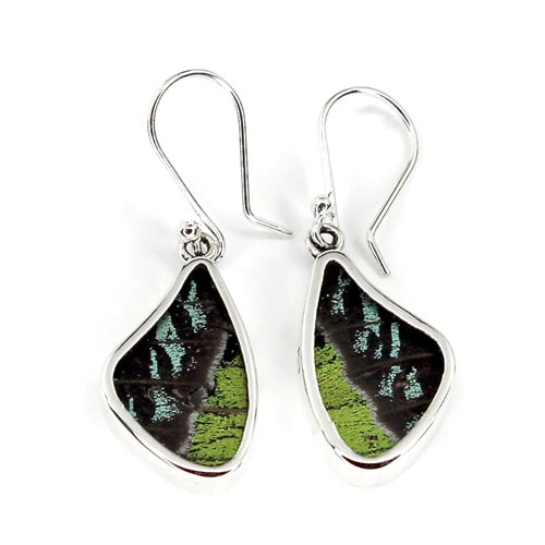 SMALL BUTTERFLY WING RIPHEUS / RIPHEUS SILVER EARRINGS