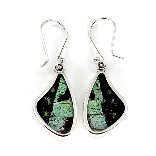 SMALL BUTTERFLY WING RIPHEUS / RIPHEUS SILVER EARRINGS