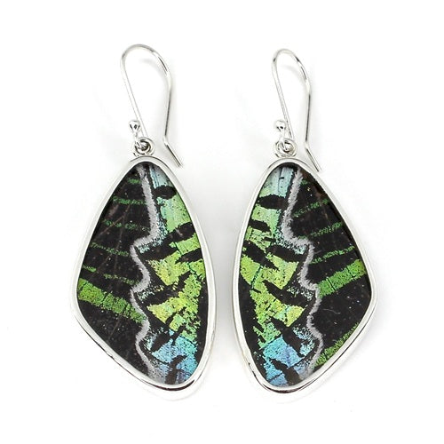 XL BUTTERFLY WING URANIA LEILUS SILVER EARRINGS