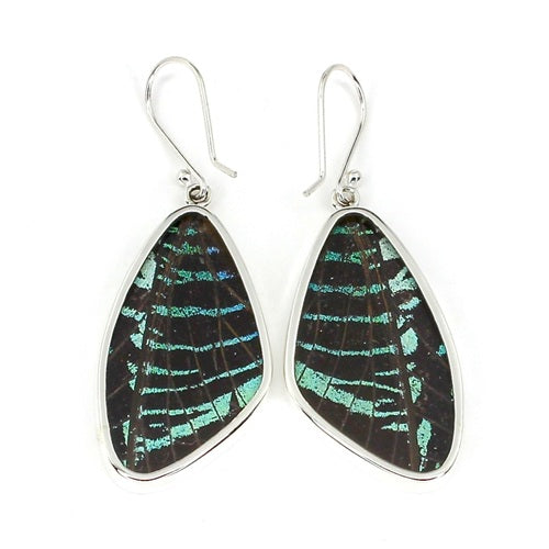 XL BUTTERFLY WING URANIA LEILUS SILVER EARRINGS