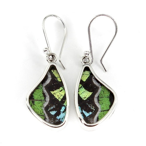 SMALL BUTTERFLY WING URANIA LEILUS SILVER EARRINGS